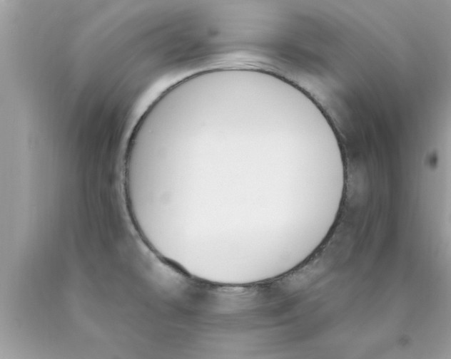 X0000089851478200707262057