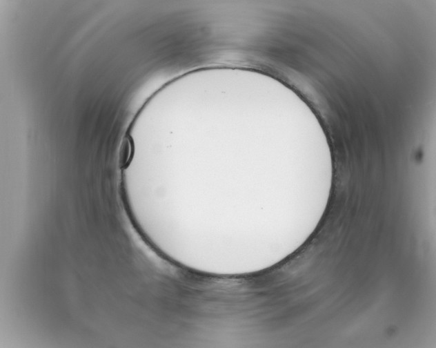 X0000089851479200707262057