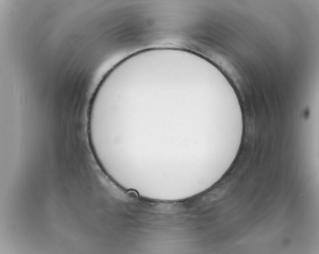 X0000089851480200707262057