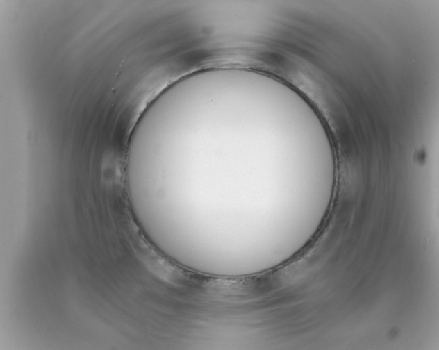 X0000089851481200707262057