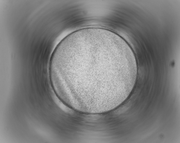 X0000089851482200707262057