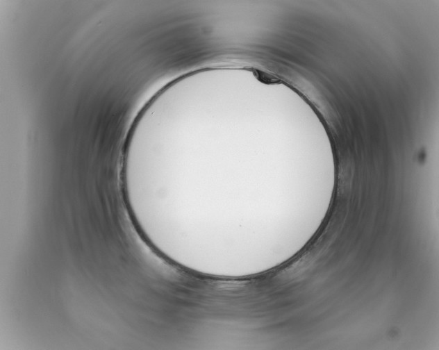 X0000089851484200707262057