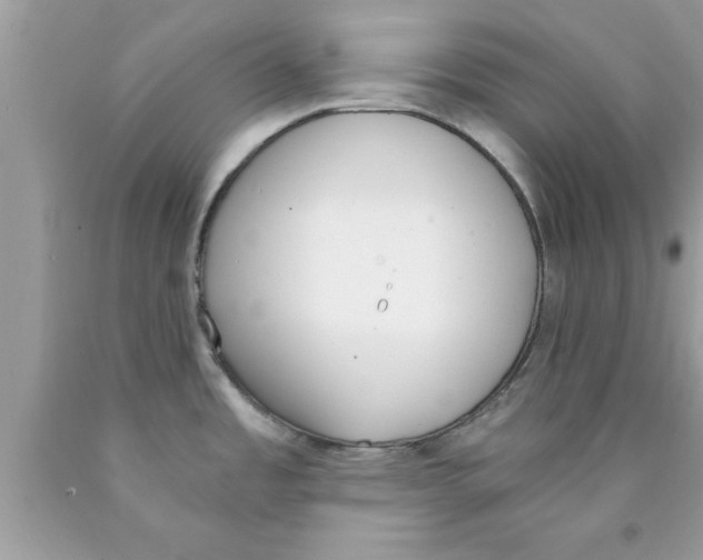 X0000089851485200707262057