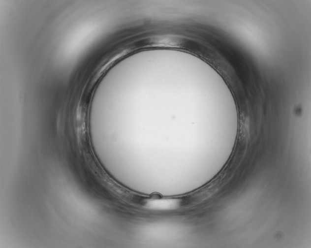 X0000089851487200707262057