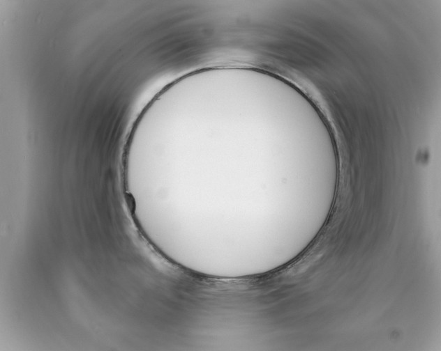 X0000089851488200707262057