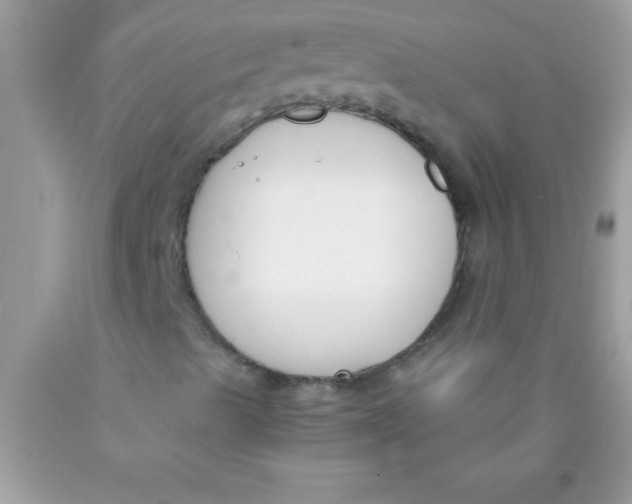 X0000089851489200707262056