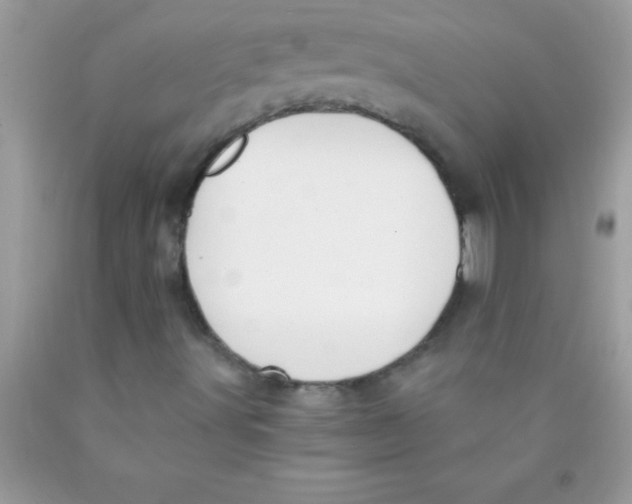 X0000089851491200707262056