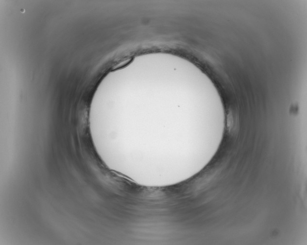 X0000089851492200707262056