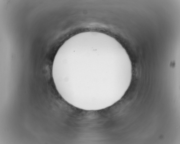 X0000089851493200707262056