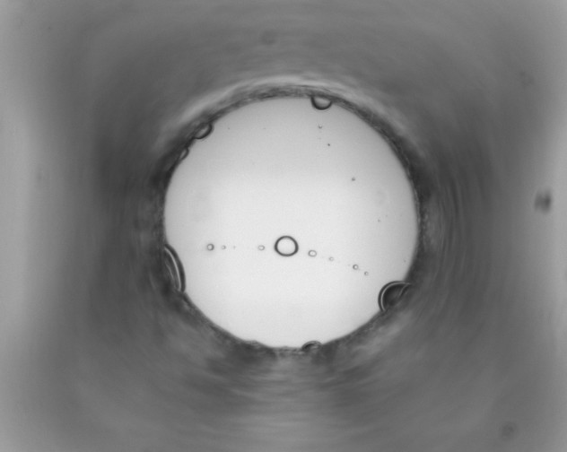 X0000089851494200707262056