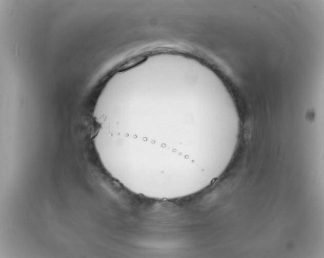 X0000089851496200707262056