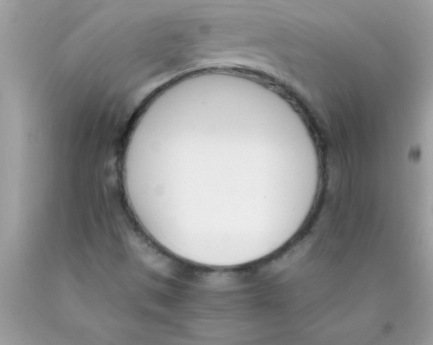 X0000089851497200707262057