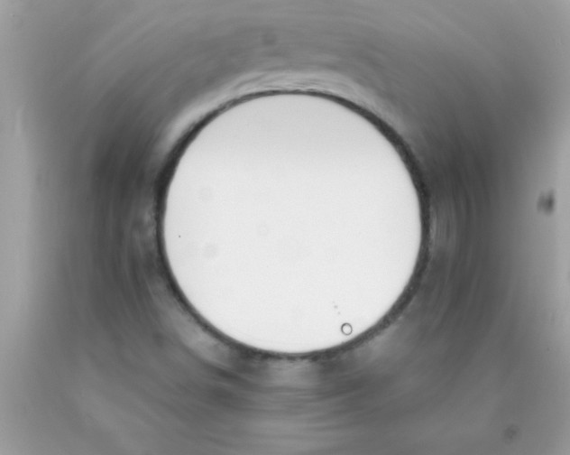 X0000089851498200707262057