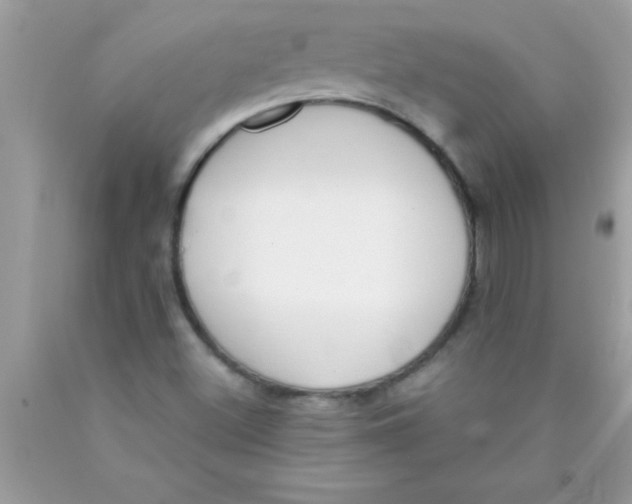 X0000089851500200707262057