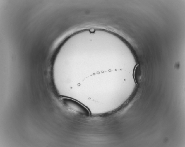 X0000089851502200707262057