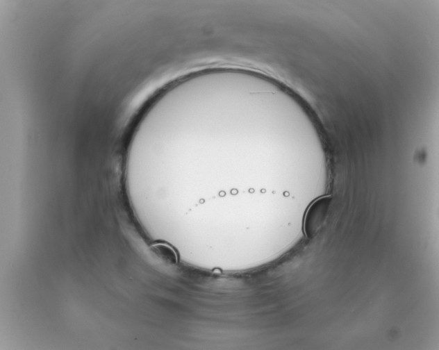 X0000089851503200707262057