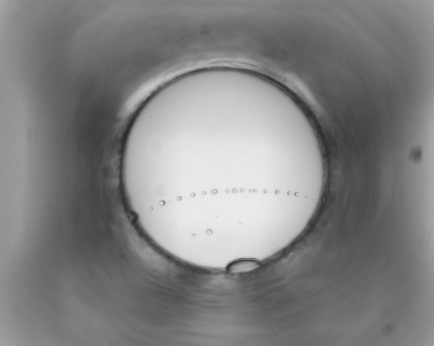 X0000089851504200707262057