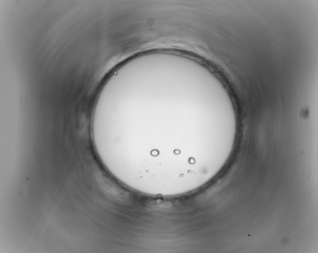 X0000089851505200707262057