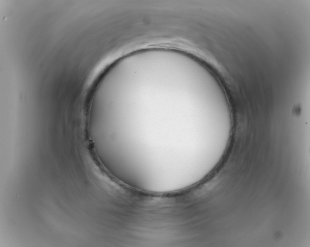 X0000089851506200707262057