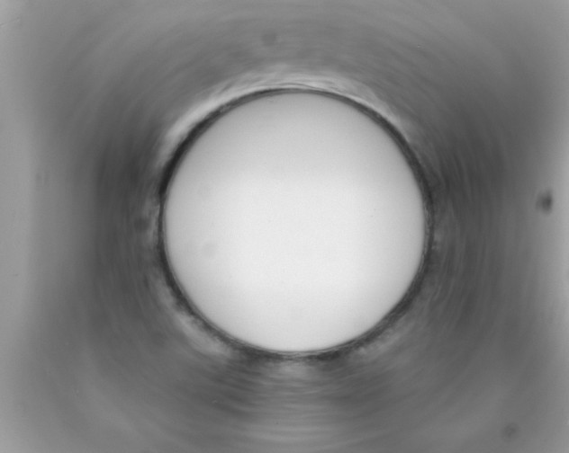 X0000089851507200707262057