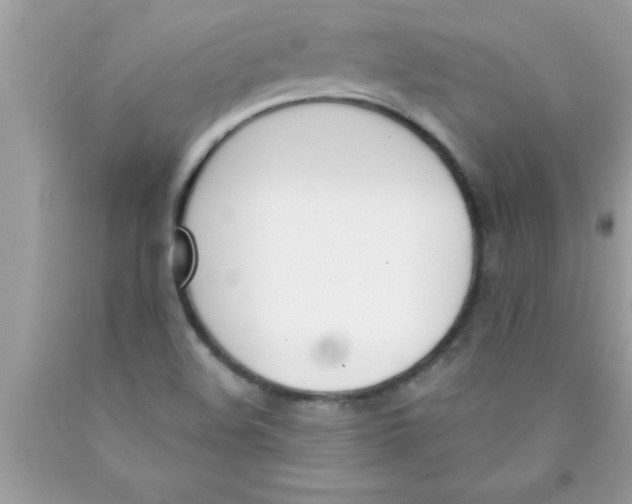 X0000089851508200707262057