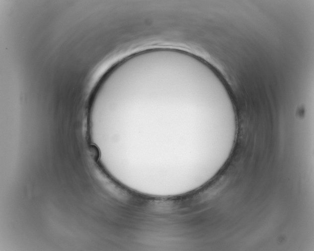 X0000089851511200707262057