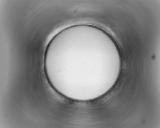 X0000089851512200707262057