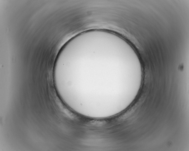 X0000089851513200707262057