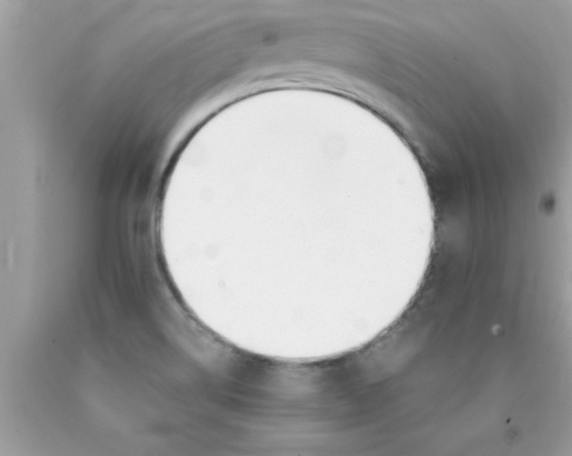 X0000089851514200707262057