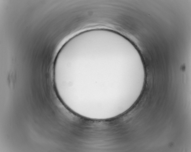 X0000089851516200707262057