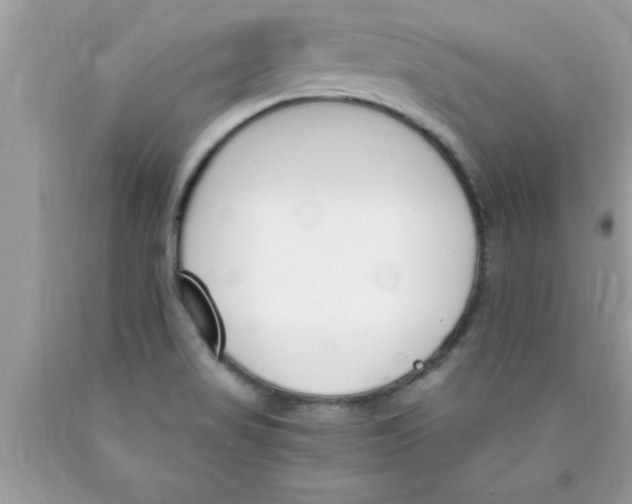 X0000089851517200707262057