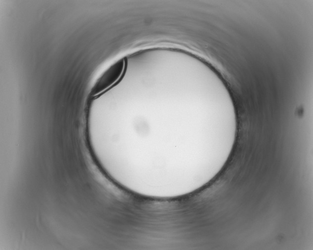 X0000089851518200707262057