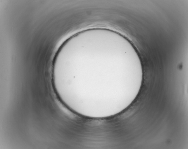 X0000089851519200707262057