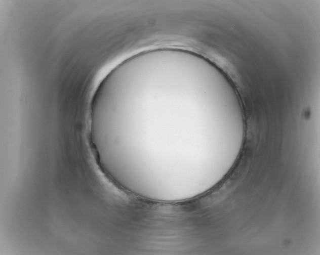 X0000089851520200707262057