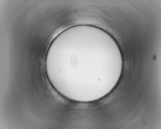 X0000089851521200707262057