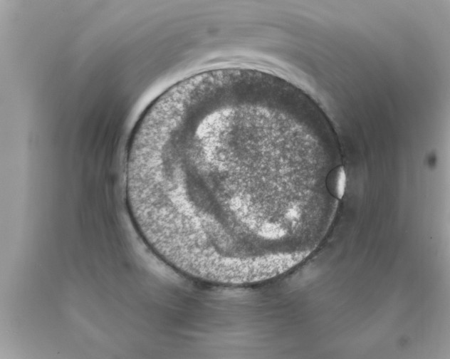 X0000089851522200707262057