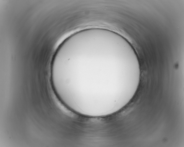 X0000089851523200707262057