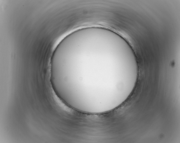 X0000089851524200707262057