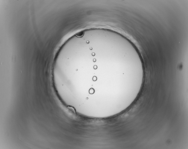 X0000089851525200707262057