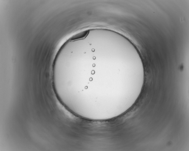 X0000089851527200707262057