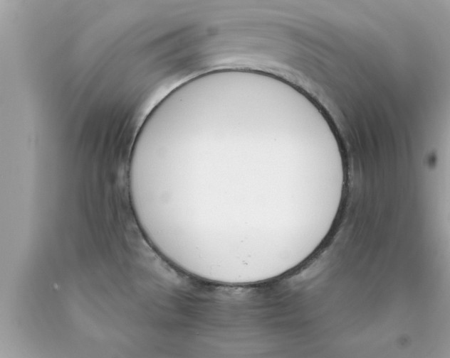 X0000089851529200707262057