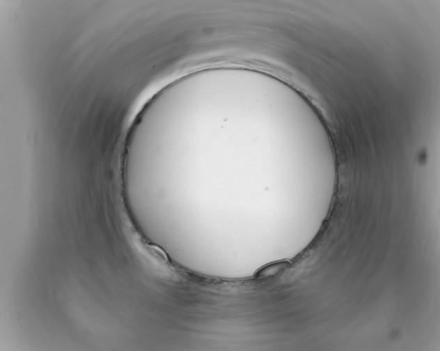 X0000089851530200707262057