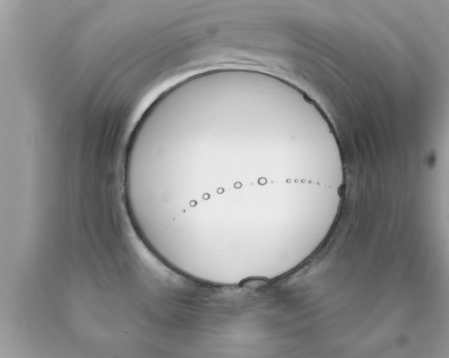 X0000089851531200707262057