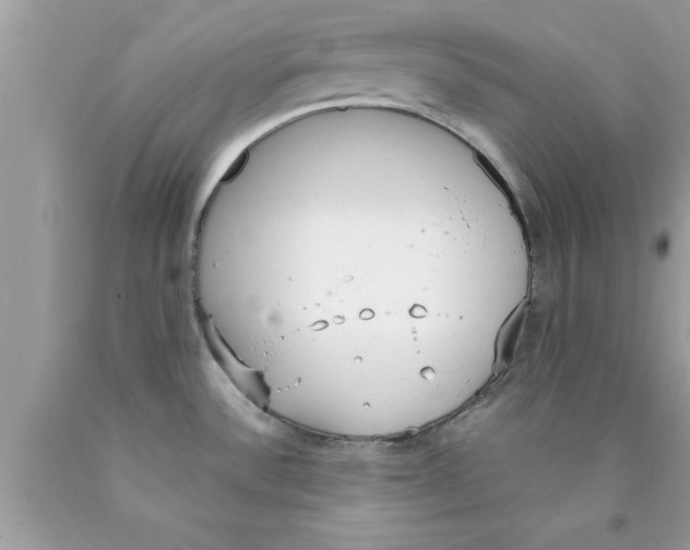 X0000089851532200707262057