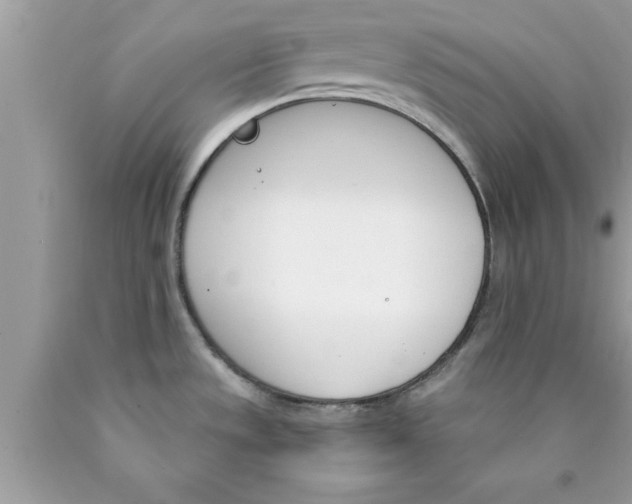 X0000089851533200707262057