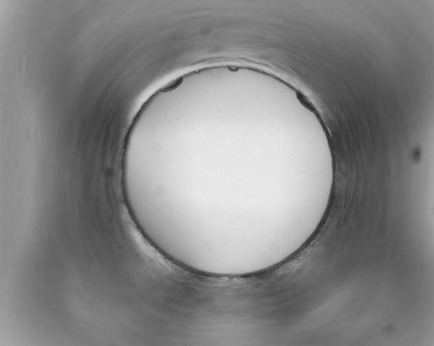 X0000089851534200707262057