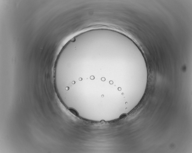 X0000089851535200707262057