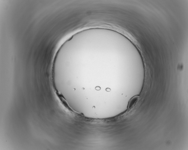 X0000089851536200707262057