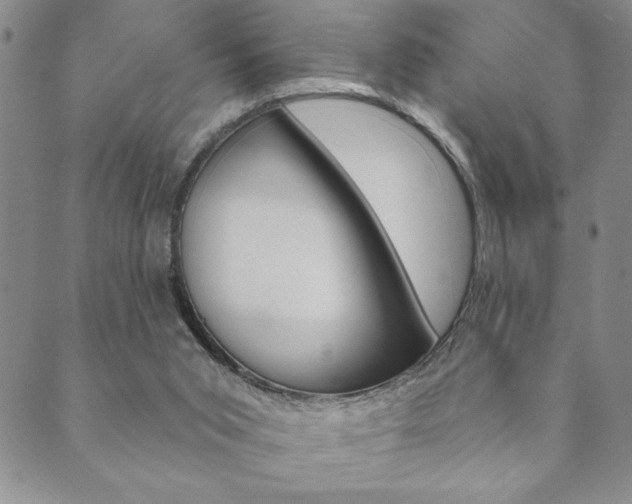 X0000089860015200706281021