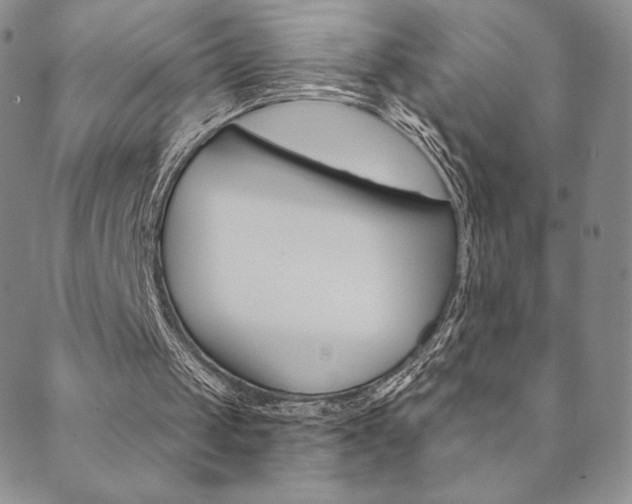 X0000089860049200706281019